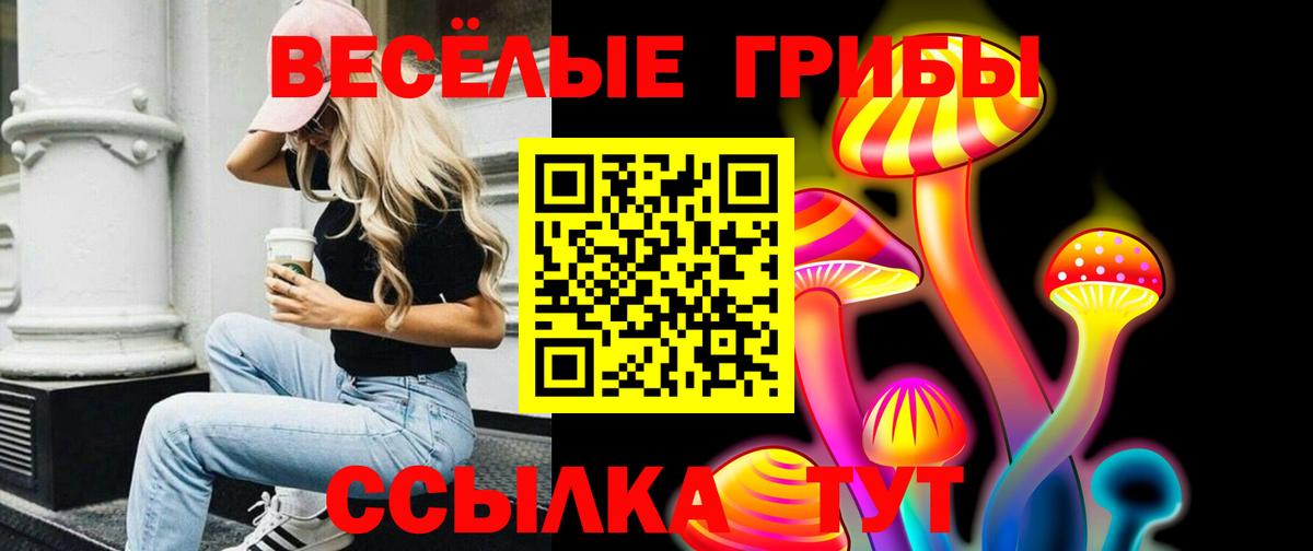Псилоцибиновые грибы Psilocybine cubensis Саров