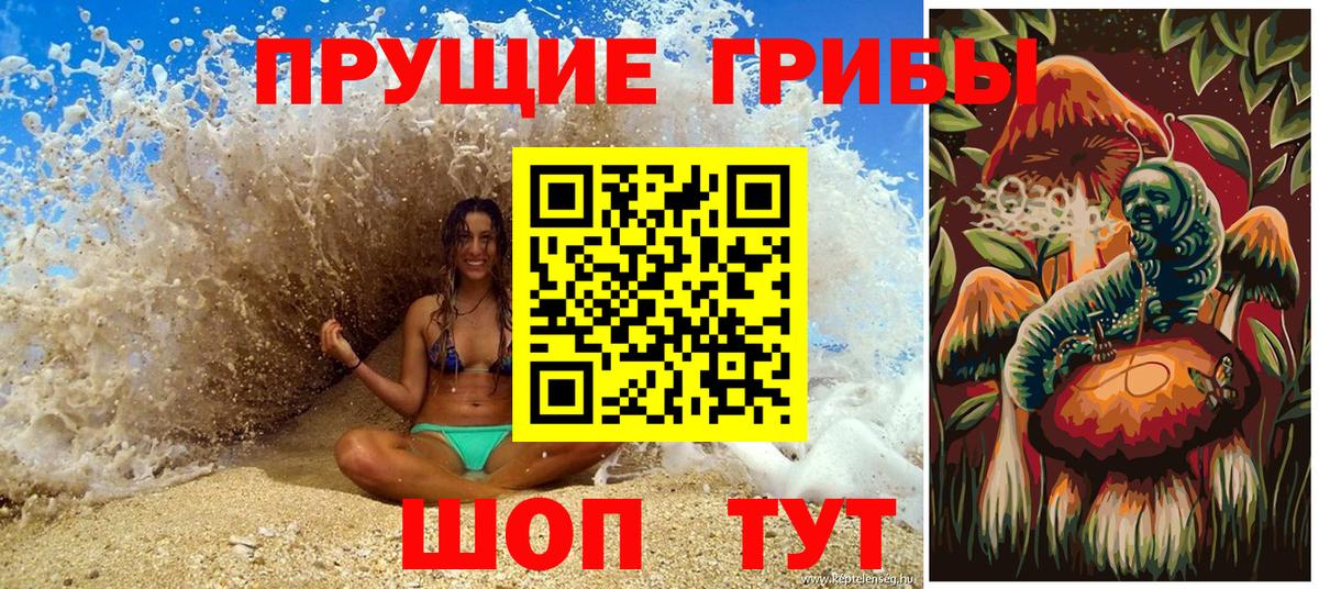 как найти закладки  Вход с VPN  Саров  Галлюциногенные грибы мицелий 